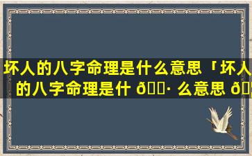 坏人的八字命理是什么意思「坏人的八字命理是什 🌷 么意思 🦊 啊」